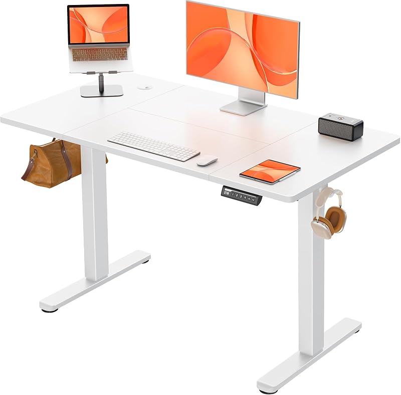 ErGear Electric Sit Stand Desk 120x60cm 4 Memory Panel Quiet Motor
