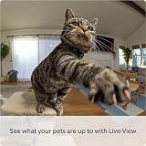 Ring Pan-Tilt Indoor Camera | 360 Pan 169 Tilt | HD Video | Two-Way Talk | view 3