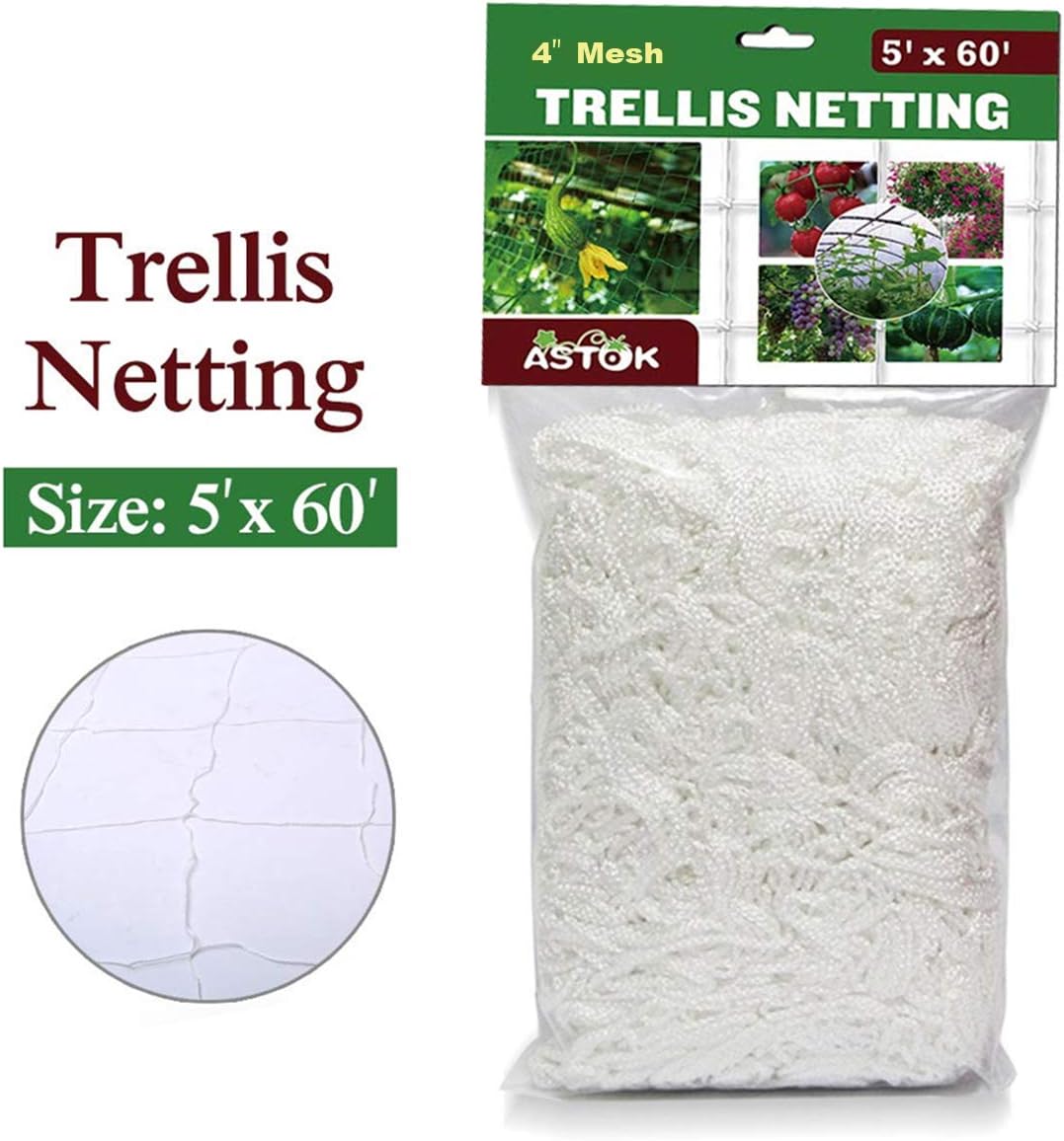 Best Mesh Garden Trellis