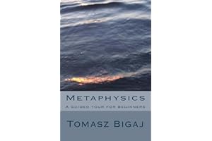 Metaphysics: A guided tour for beginners