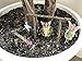 Patio Eden 6 Piece Fairy Garden Accessories Set - Miniature Fairies for Garden Kit