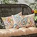 Greendale Home Fashions Rectangle Outdoor Accent Pillows in Painted Paisley (Set of 2), Jamboree