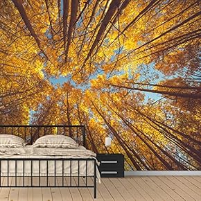 Wall Murals for Bedroom Dreamwork Beautiful Removable Wallpaper Peel and Stick Wall Stickers - 66x96 inches