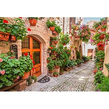 Amazon Com Ofila Italy Backdrop 7x5ft Photography Background