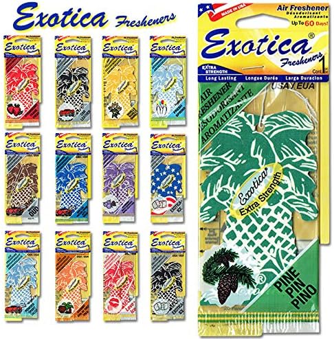 Fresheners エアーフレッシュナー ココナッツ Palm 正規品送料無料 新作製品 世界最高品質人気 吊り下げ 家電 カメラ 激安超特価 100 品質保証 ホビー 並行輸入品 シューズ バッグ パームツリー 芳香剤 部屋 Tree Coconut Air 香り長持ち エキゾチカ 車