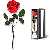 Flowers for Delivery Prime, Preserved Roses Flower Gifts for Women, Real Roses Single Rose Gifts for Her, Mom Birthday Gifts from Daughter, Valentines Flowers Red Roses
