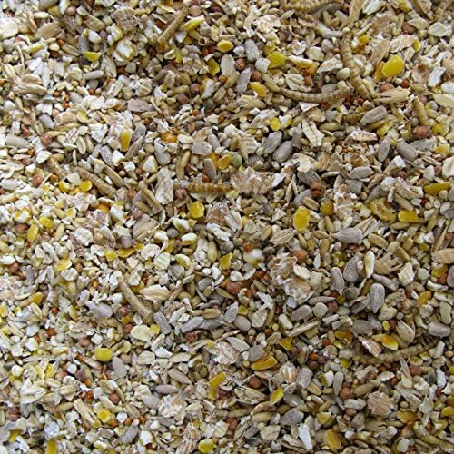 Hollybeck Superior wild with Insects Wild Bird Food - 20KG Sack - FREE P & P INCLUDED (FOR UK only)