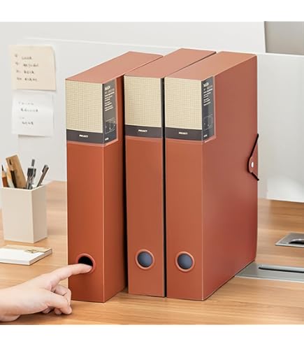 Amazon.com: Leitz Premium archive box with flap, 10 pieces, 100