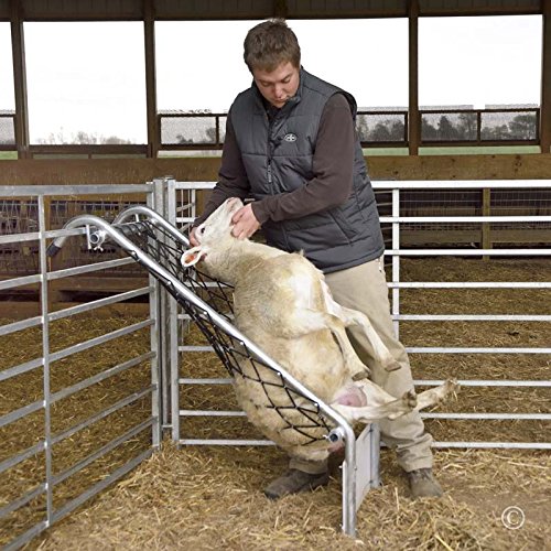 Premier Deck Chair For Sheep