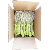 Female use Hoomsoins HS80082 Urine Wicks for Urine Collection Machine Personal use Urinary Drainage 30pcs
