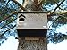 JCs Wildlife Barn Owl Nesting House - Large Home Made w/Recycled Poly Lumber