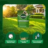 Envii Patch Repair Grass Seed Mix 400g Treats Up to 50 Patches UK Climate view 3