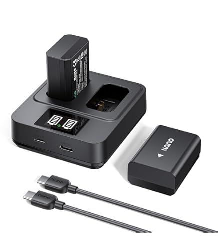 Amazon.com: Battery Charger for Sony Alpha ILCE-6300, ILCE-6400