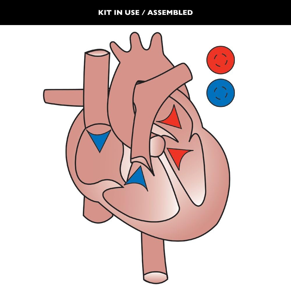 Speak Easies Human Heart Board Kit