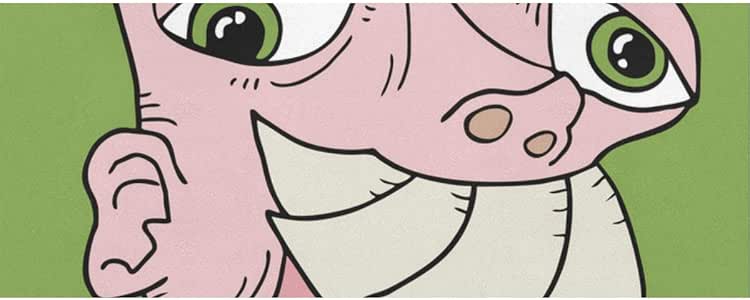 Ugly face essay image