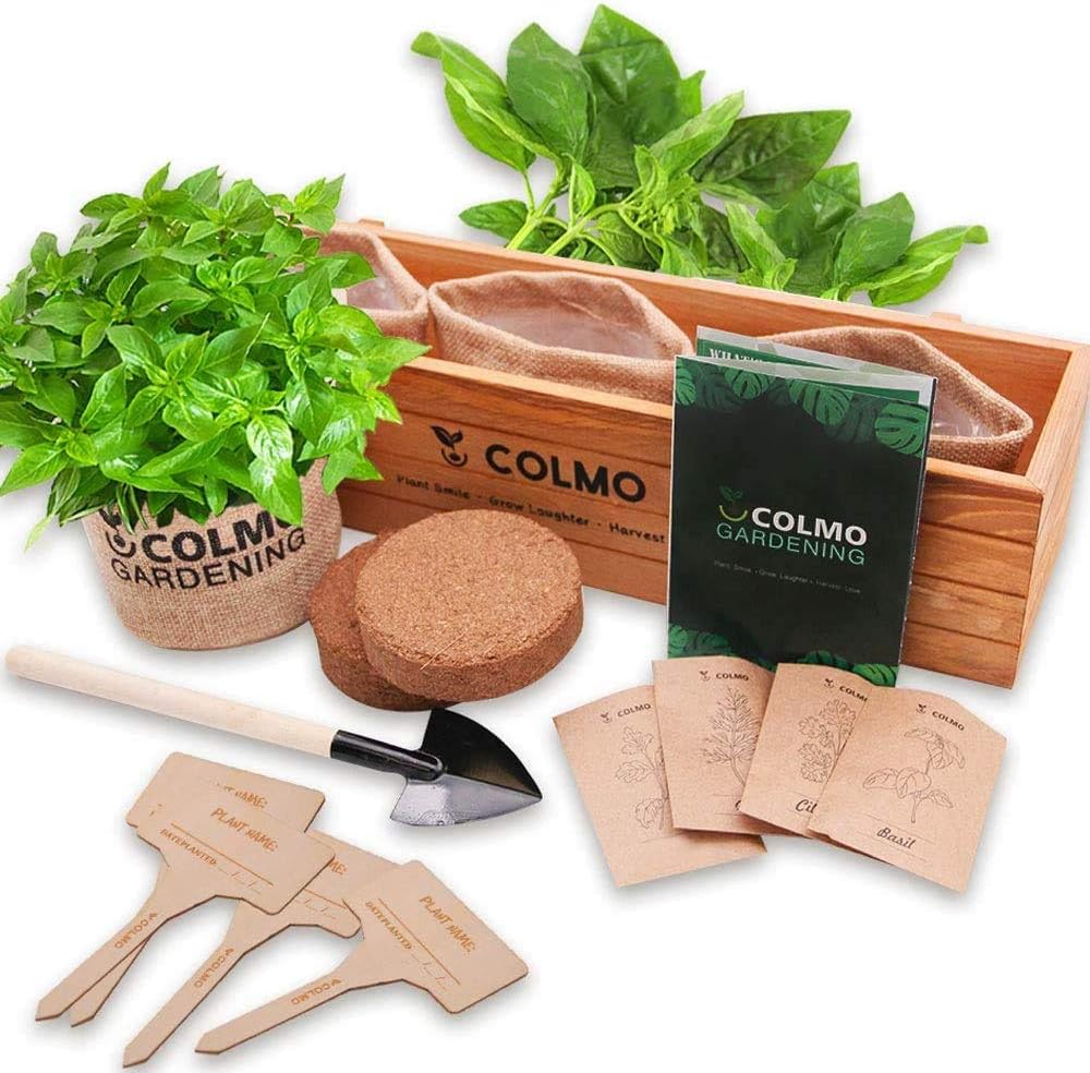 Indoor Herb Garden Starter Kit Herb Planter Seed Starter Herb Garden