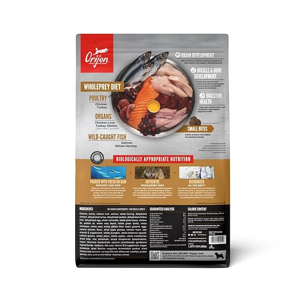 ORIJEN GRAIN FREE HIGH PROTEIN DRY DOG FOOD PUPPY RECIPE 4.5LB BAG