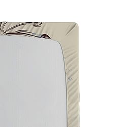 Ambesonne Hummingbird Fitted Sheet Set, Birds and
