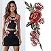 Transer 2PC DIY Embroidered Roses Floral Collar Sew Patch Sticker Applique Badge (Red)