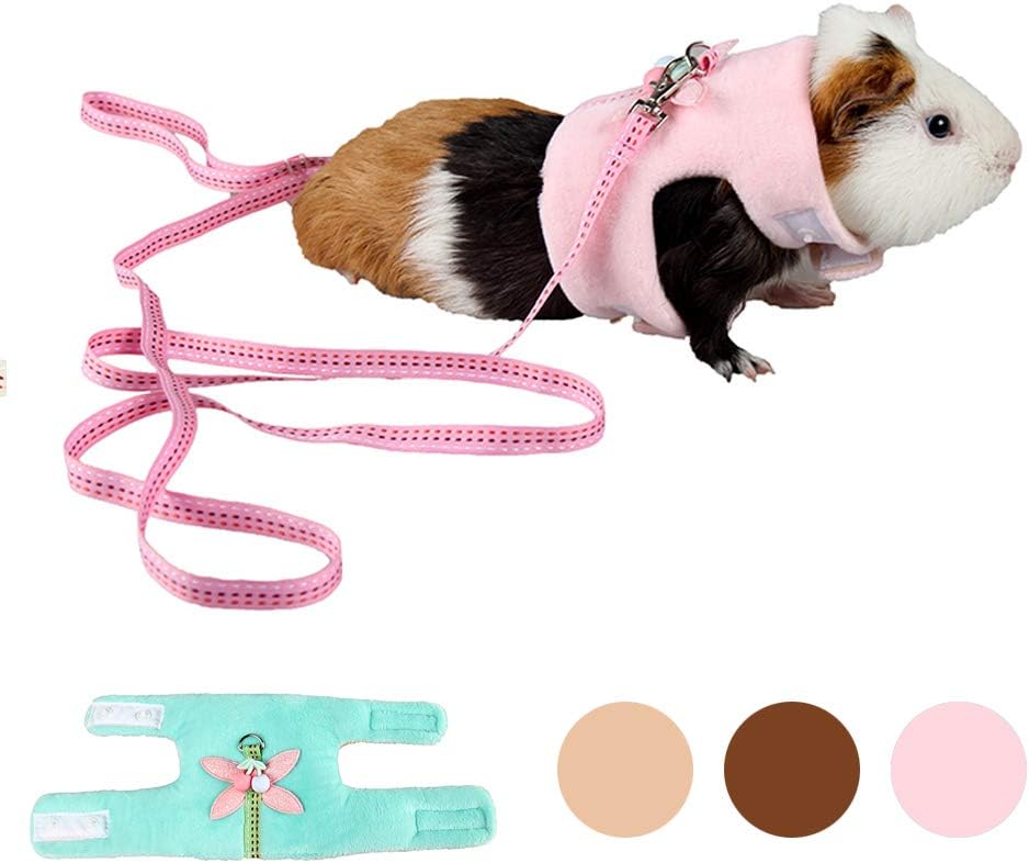 hedgehog leash