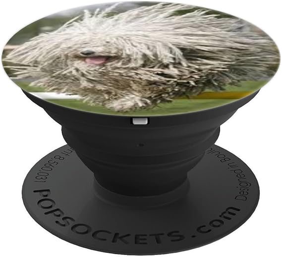 Amazon Com Komondor Dog Puppy Cute Pet White Long Hair