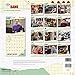 The Big Bang Theory 2020 Wall Calendar