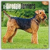 Airedale Terriers 2016 Square 12x12 (Multilingual Edition)