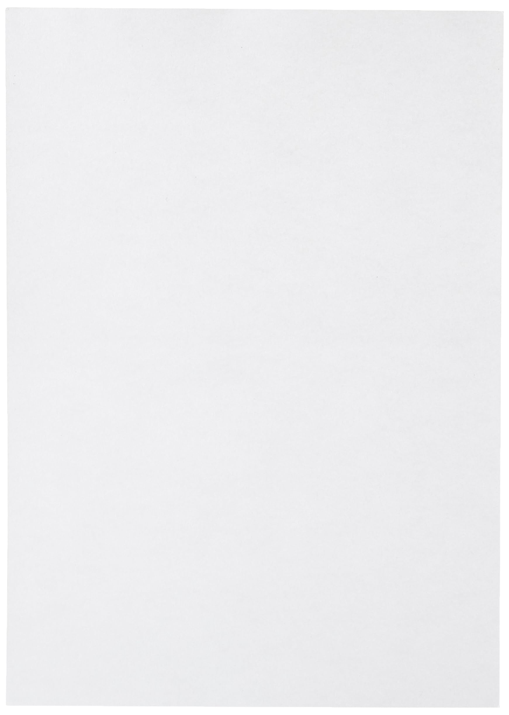 Clairefontaine 24385C Iridescent White Paper Pack of 25 sheets A4 (21x29,7cm) 210gsm Invitation paper Events and Correspondence Pollen Range Premium Smooth