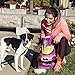 Earthborn Holistic Meadow Feast Grain-Free Dry Dog Food