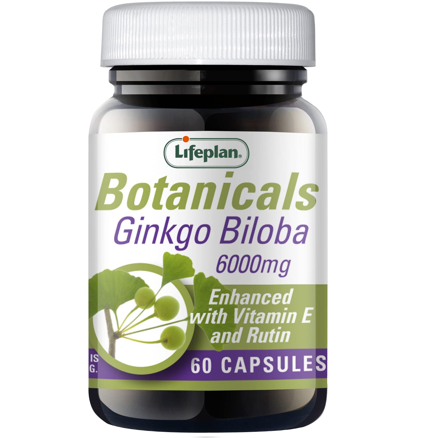 Ginkgo Biloba Extract 6000mg x 60