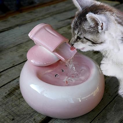 Fontaine à Eau Pour Chat Chien Distributeur Deau Pour