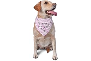 vercosee Promoted to Big Sister Dog Bandana Moms Pregnant Dog Bandanas,Pregnancy Announcement Dog Bandana Pet Scarf, Pet Accessories (Tie dye-Pink)