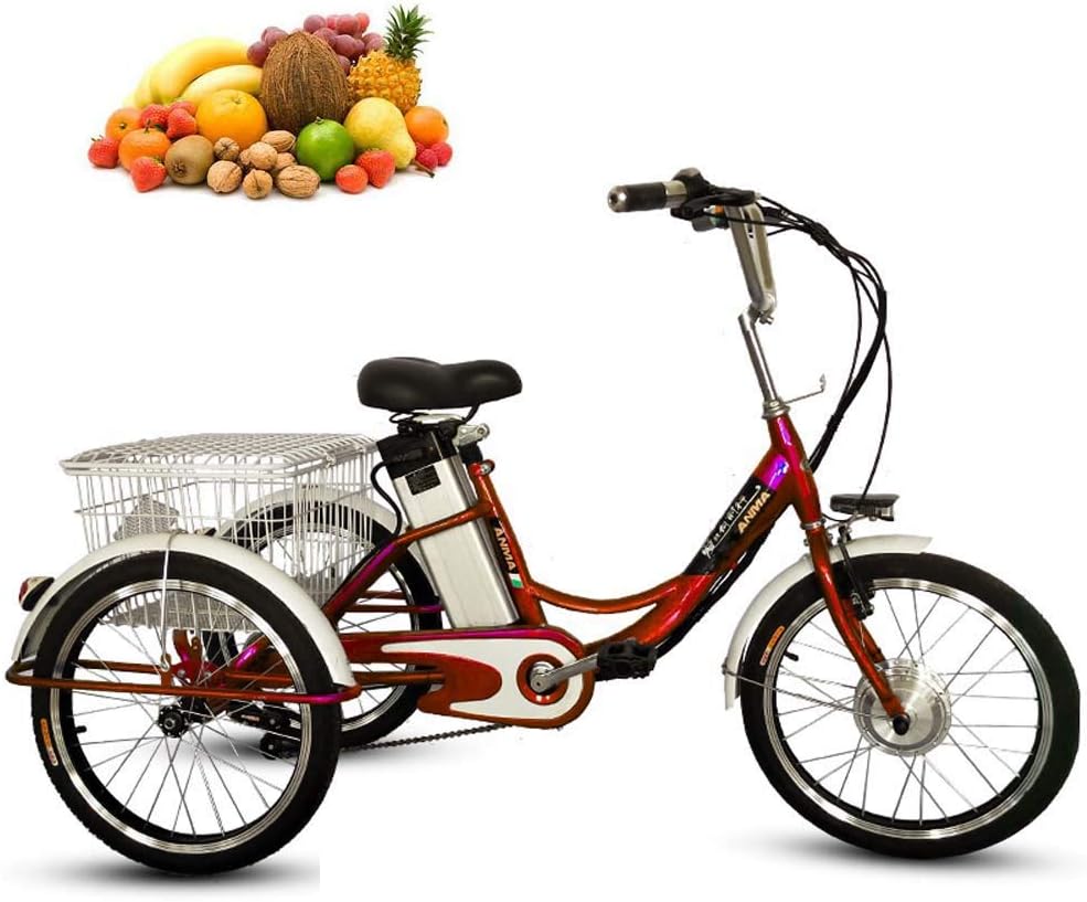 WYFCAugust 20" lithium battery booster Adult tricycle 3-Wheels Trike electric bicycle with LED light 10AH travel 20km