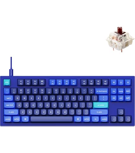 Amazon.com: Keychron Q1 RGB Wired Custom Mechanical Keyboard Knob