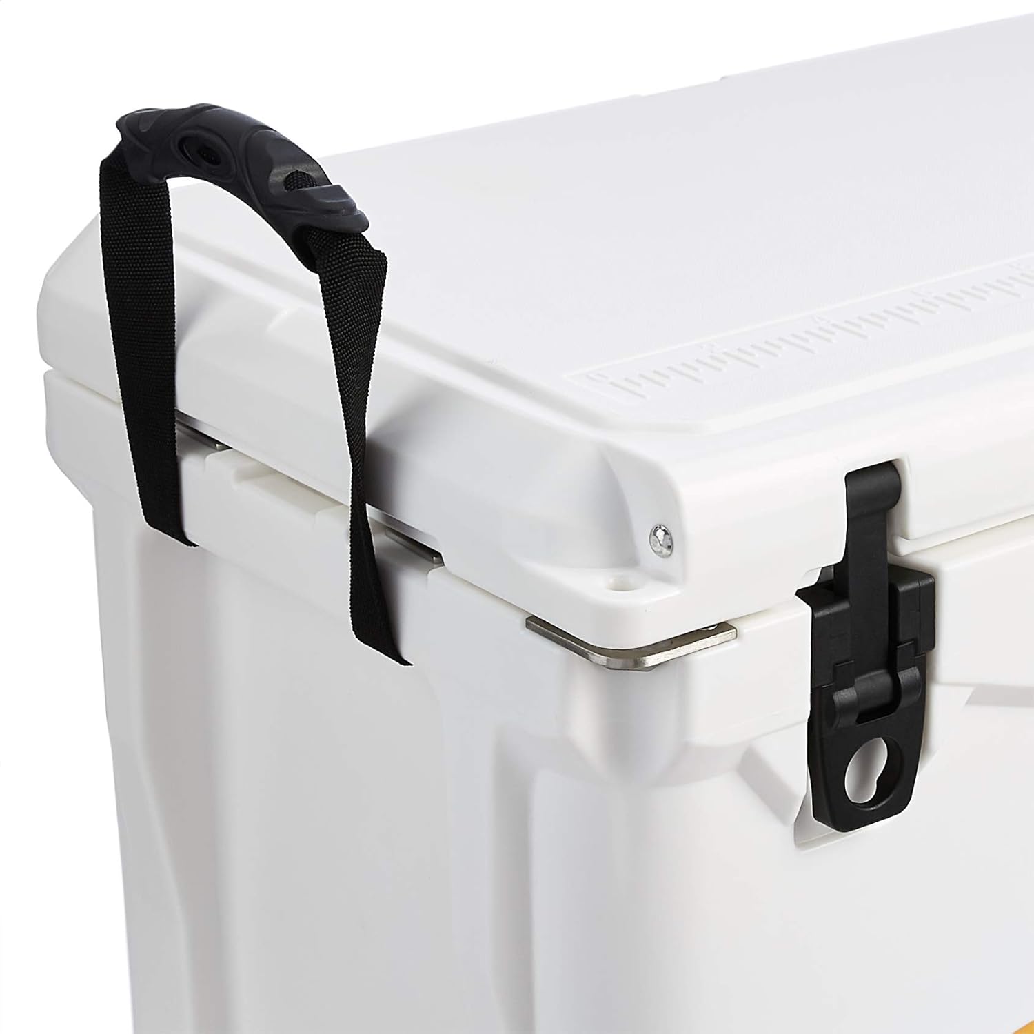 Commercial Rotomolded Cooler, 45 Quart, White: Industrial & Scientific