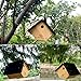 WildBird Care Wren House - Cedar Bird House Natural Wood BCH1A
