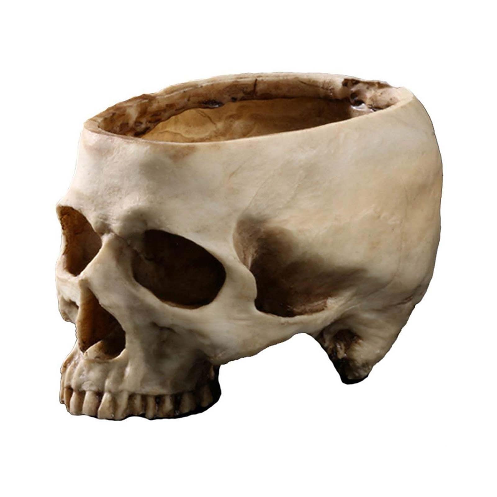 Qivange Resin Skull Head Flower Pot Halloween Decorations Plant Bowl Multifunctional Skull Plant Pot Container for Festival Home
