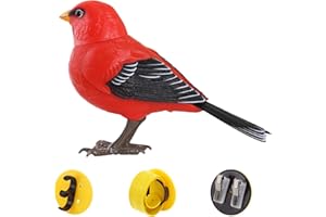 Electric Singing Chirping Bird Toy 13.5x9cm Motion Sound Activated Robot Bird Battery Operated Simulation Interactive Toys