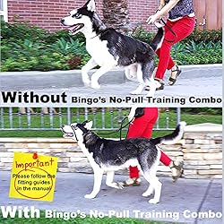 Bingo's No Pull Dog Training Combo for Medium Dogs