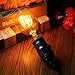 GOENDR Edison Bulb A19, Vintage Incandescent Light Bulbs - 60 Watt, Dimmable 2700K Warm Amber, E26/E27 Base, Squirrel Cage Filament - Antique Decor for Home, Table Lamp, Restaurant, 4Pack