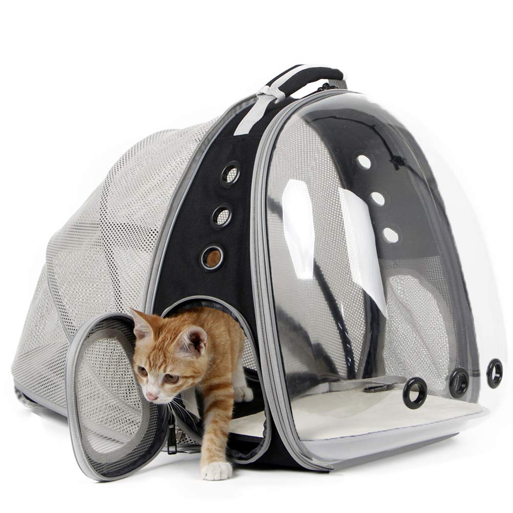 cat bubble backpack carrier