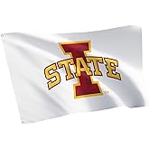Desert Cactus Iowa State University 100% Polyester Indoor Outdoor 3x5 feet Banner ISU Cyclones (Flag D)