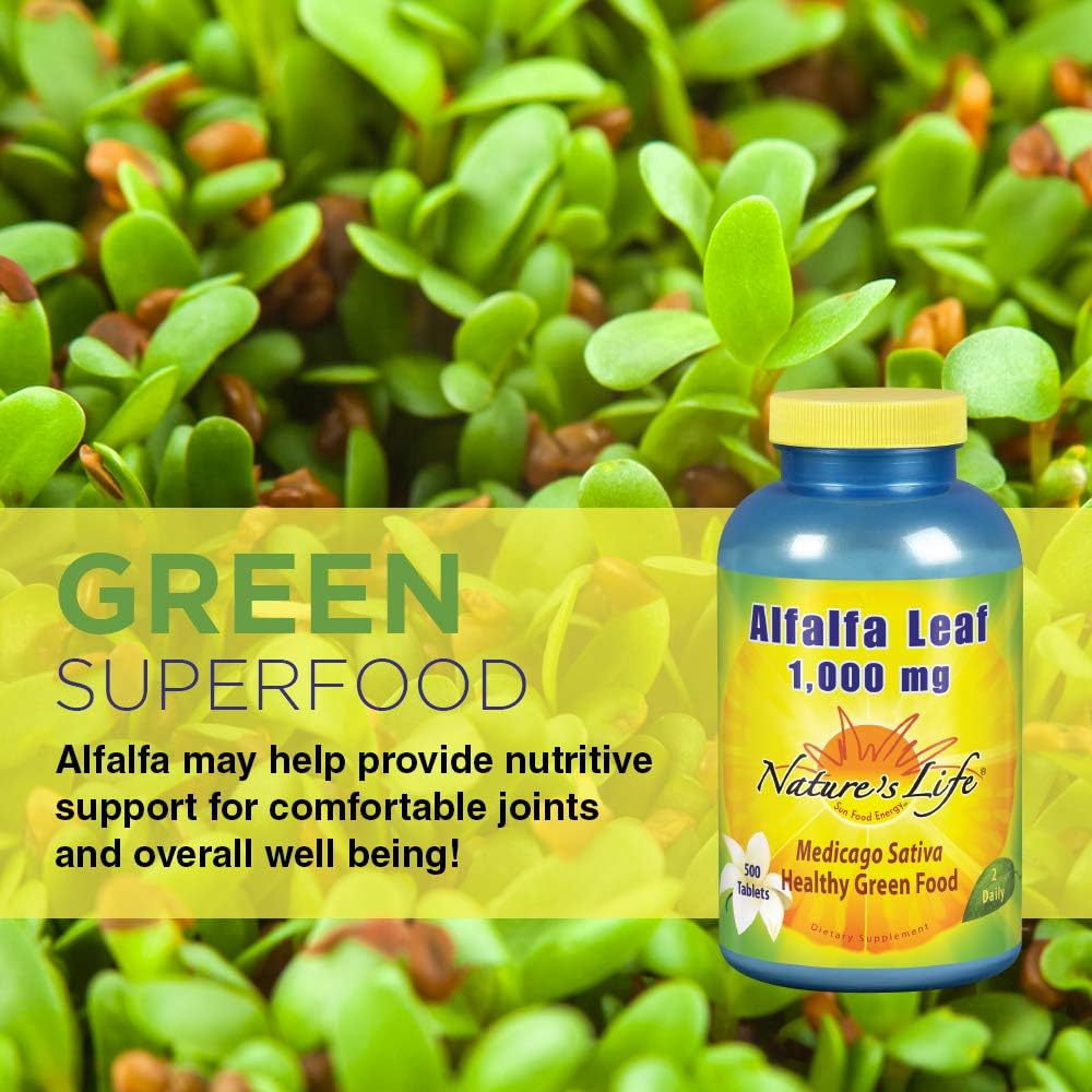 Nature’s Life® Alfalfa Leaf Tablets 1000mg | Vitamin Rich Green Superfood | Non-Gmo | 500 Count: Health & Personal Care