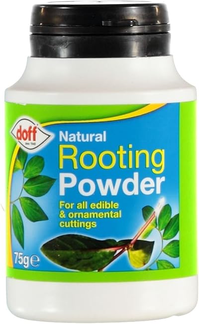 Doff Natural Rooting Powder 75G Promotes Strong Healthy Roots