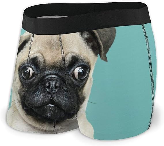 Amazon Co Jp ボクサーパンツ メンズ 下着 パグ 青い 犬 Pug 男性用 パンツ ブリーフ 四角 ボクサーブリーフ インナー 通気性 デザイン セクシー 魅力的 前閉じ プリント プレゼント吸水速乾 Bolaco 服 ファッション小物
