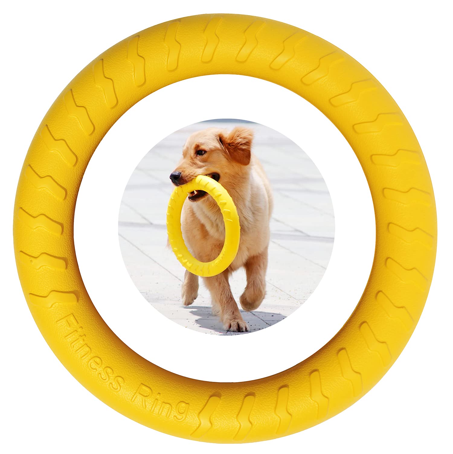 Agility Exercise Game - Interactive Dog Training Ring for Small to Large Dogs (Yellow)