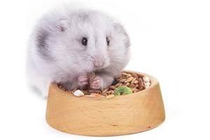 Rubor Hamster Food Bowl, Wooden Guinea Pig Food Dish Feeding Bowl for Small Animal Dwarf Hamster Syrian Gerbil Mice Degu Chipmunk Squirrel Hedgehog (Large)