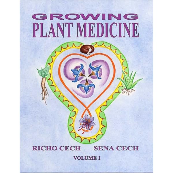 【再値下げ！送料無料】洋書『Medicine at the Border』 Medicine: Briony Hudson, Nick Taylor: 9781787419377: Amazon.com: Books