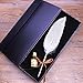 Jubapoz Dip Pen Set Calligraphy Feather Quill Pen Set Antique Feather Writting Quill Ink Dip Pen (NO INK, White Feather)