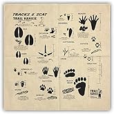 Trail Hankie Tracks & Scat For Hiking, Fishing, Boy Scouts, Camping, Outdoor Recreation - Neckwear/Face Mask/Handkerchief - Made in the USA 100% Cotton, Machine Washable, Natural Bandana